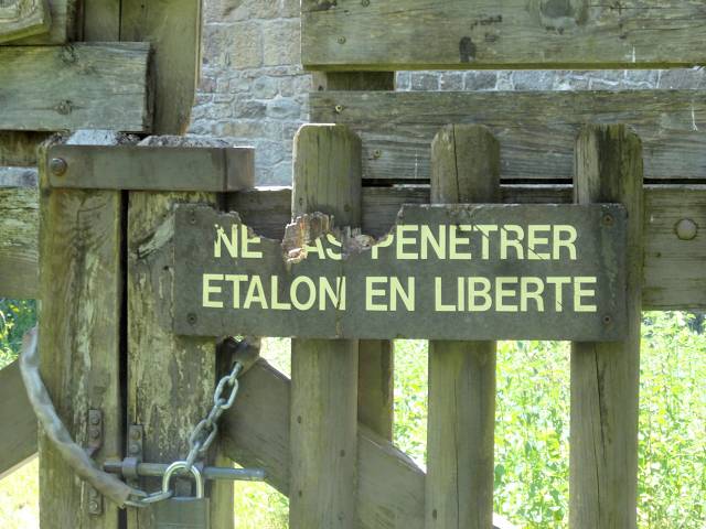 St Sauveur des Pourcils