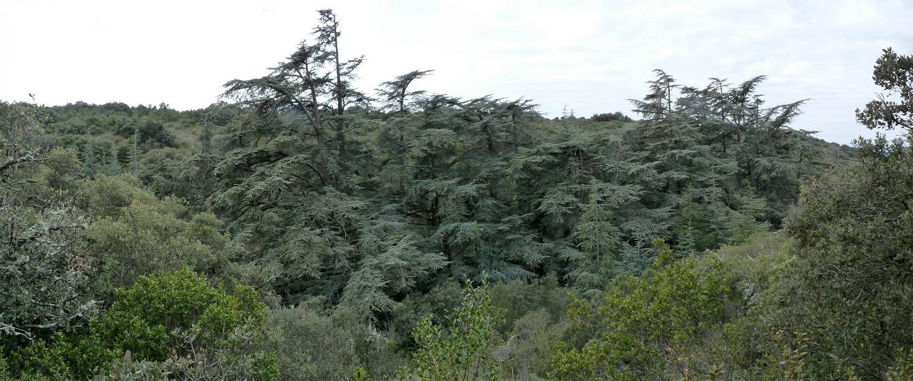 Vallon de la Brayette