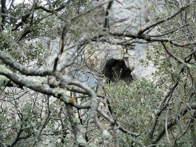 Vallon de la Brayette